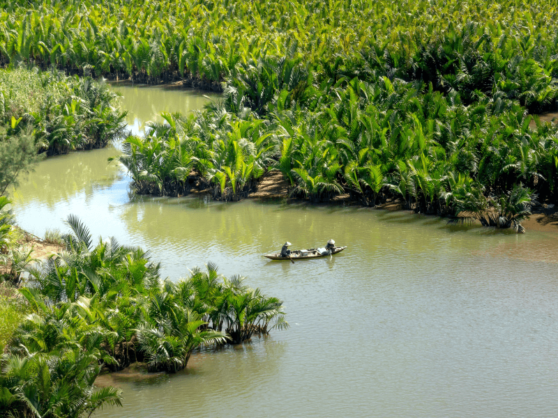 The Sundarbans: World's Largest Mangrove Forest