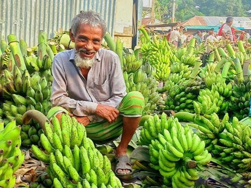 Narsingdi Amrit Sagar Banana