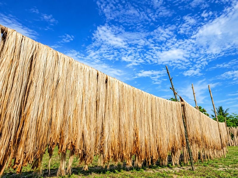 Faridpur Jute