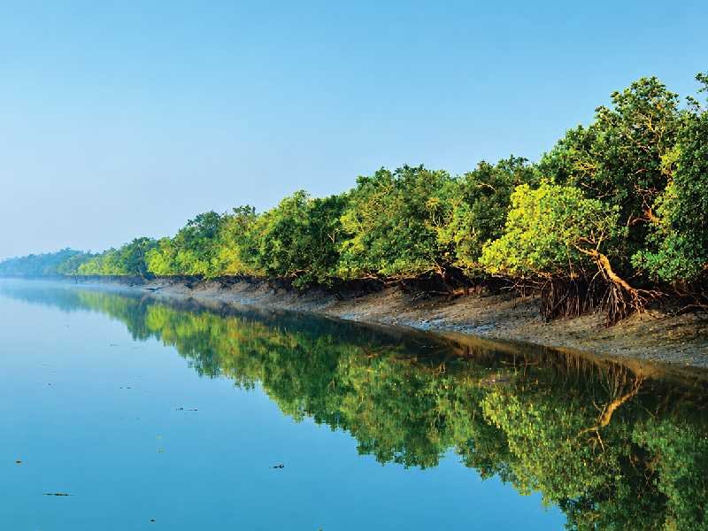 Cruising the Sundarbans Mangrove Forest