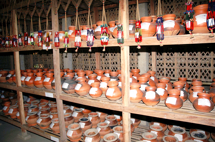 Organic Vegetable Farm Homestays