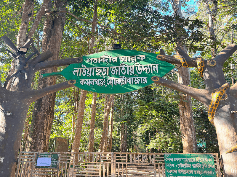 Lawachara National Park and Tropical Rainforests