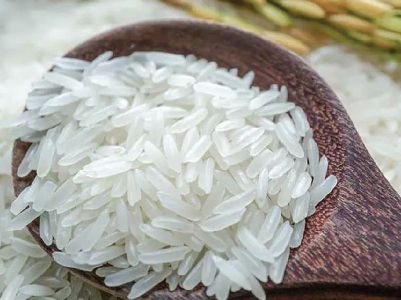 Dinajpur Kataribhog Rice