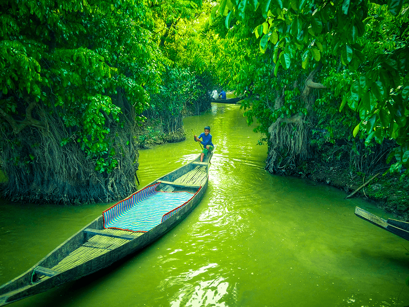 Ratargul Freshwater Swamp Forest