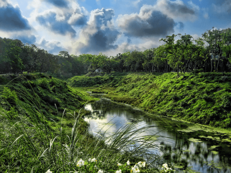 Ancient Sal Forests of Madhupur and Bhawal
