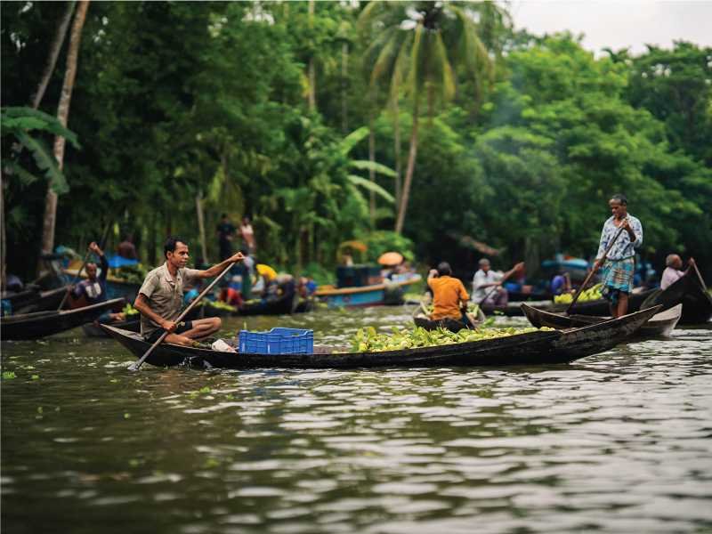 Traditional Floating Agriculture and Village Life in Barisal