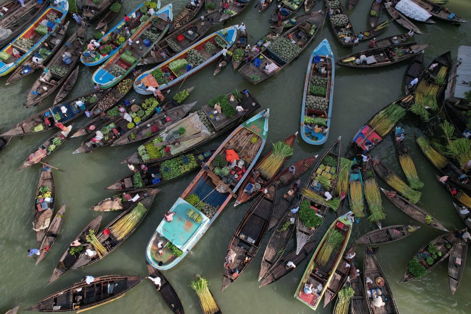 Floating Guava and Vegetable Agriculture