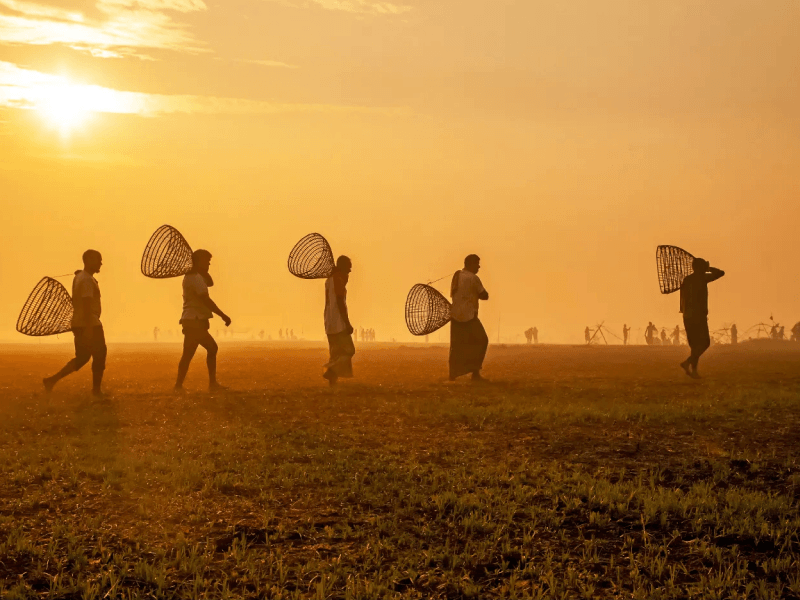 Polo Bawa Festival