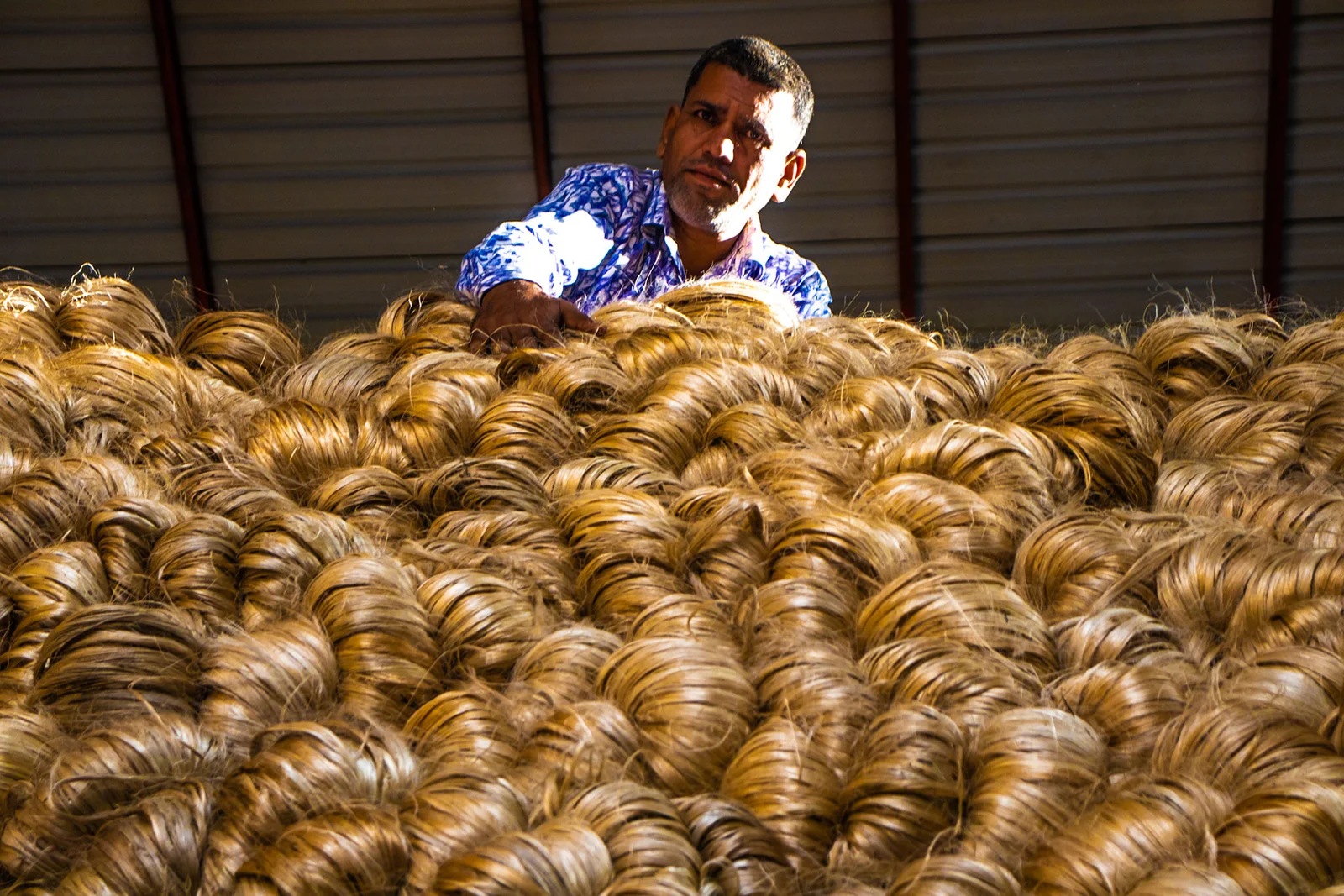 Jute Cultivation and Processing