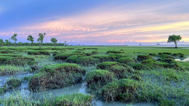 Guliakhali Beach