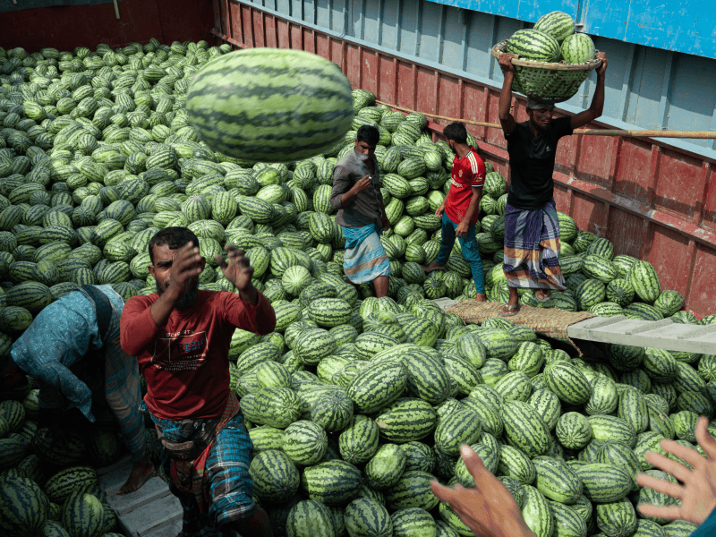 Watermelon from Khulna