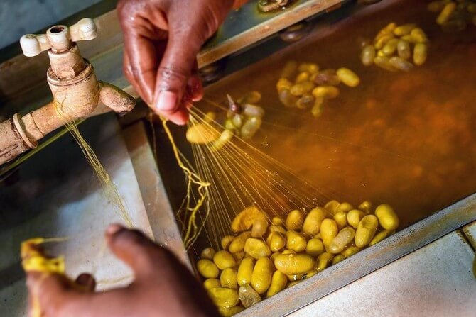 Rajshahi Silk